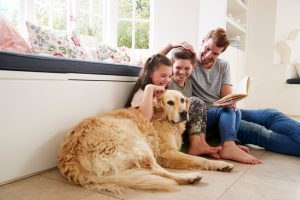 HVAC Cleaning