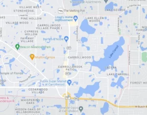 carrollwood ac services