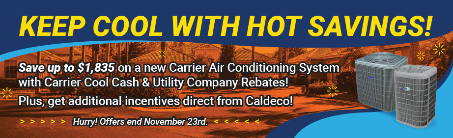 Caldeco Fall special